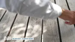 Un jour, un doc : Malmousque : le paradis secret/Marseille, la ville des marchés