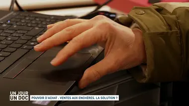 Un jour, un doc : Pouvoir d’achat : ventes aux enchères, la solution ?