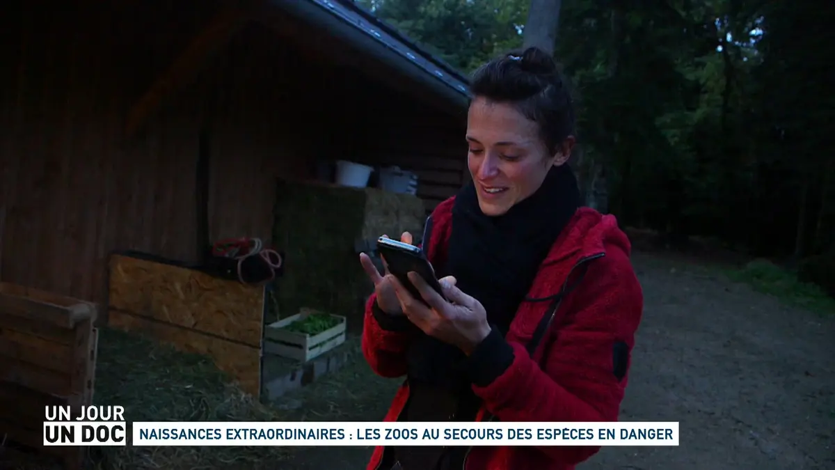 Un jour, un doc : Saison 4
