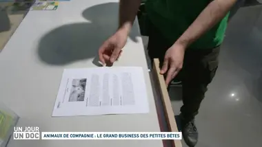 Un jour, un doc : Saison 4