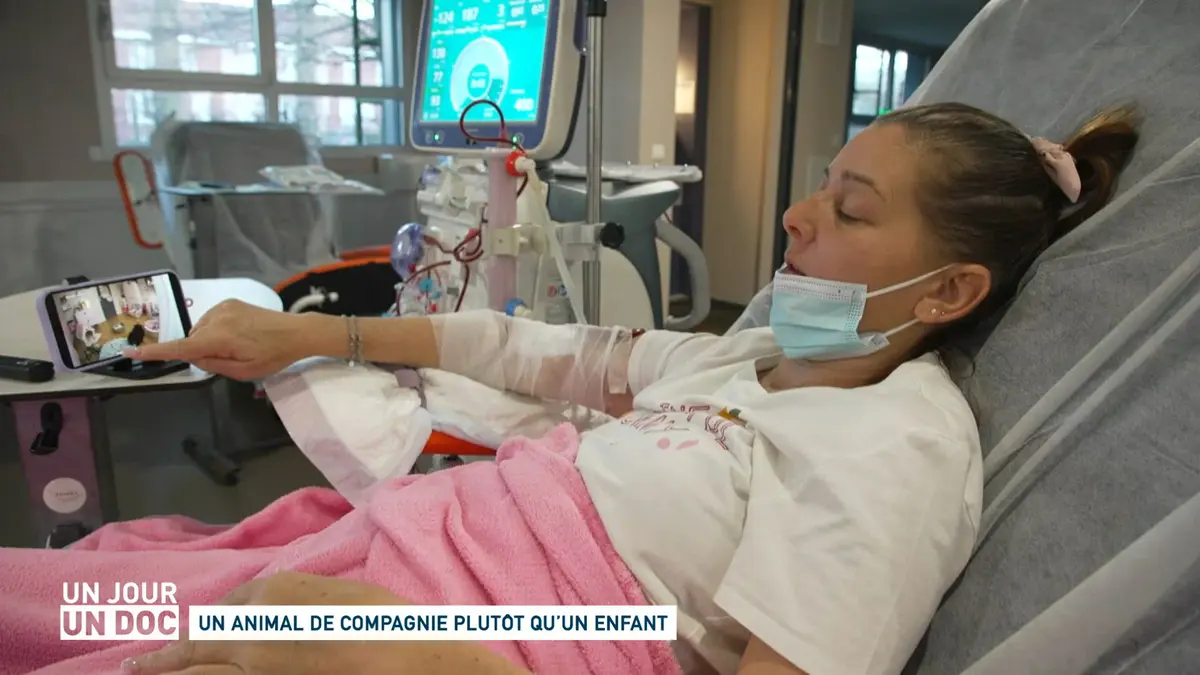 Un jour, un doc : Un animal de compagnie plutôt…