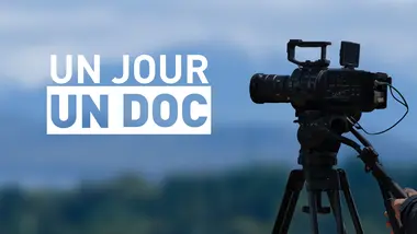 Un jour, un doc : Ventes aux enchères : opération bons plans !