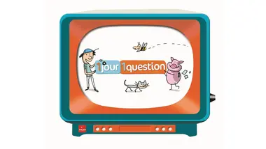 Un jour, une question