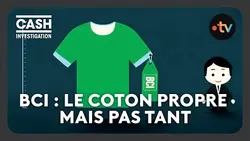 Un label de coton équitable, respectueux... et menteur ? - Cash investigation