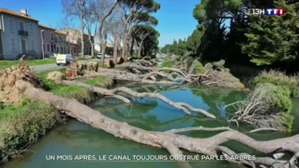 Un mois après, le canal toujours obstrué par les…