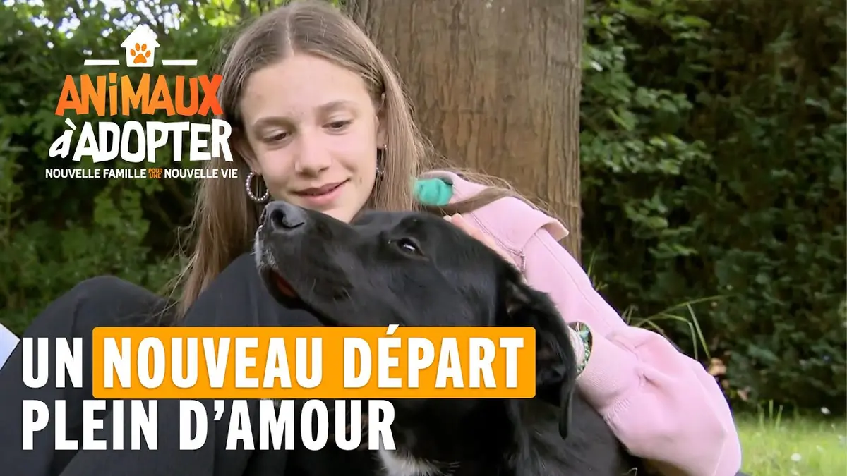 replay de Un nouveau départ plein d'amour - Animaux À Adopter