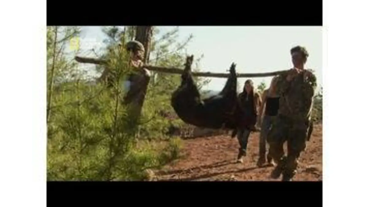 replay de Un sanglier : sur place ou à emporter