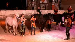 Un spectacle inoubliable