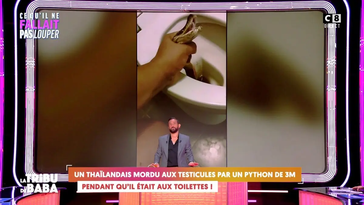 replay de Un Thaïlandais mordu aux testicules par un python de 3 mètres pendant qu’il était aux toilettes !