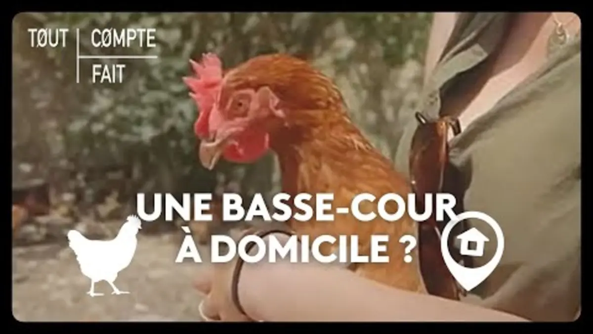 replay de Une basse-cour à domicile ?
