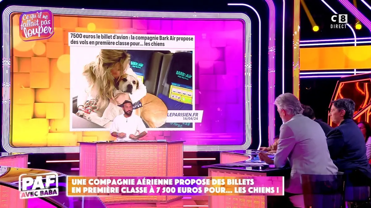 replay de Une compagnie aérienne propose des billets en première classe à 7 500 euros pour les chiens