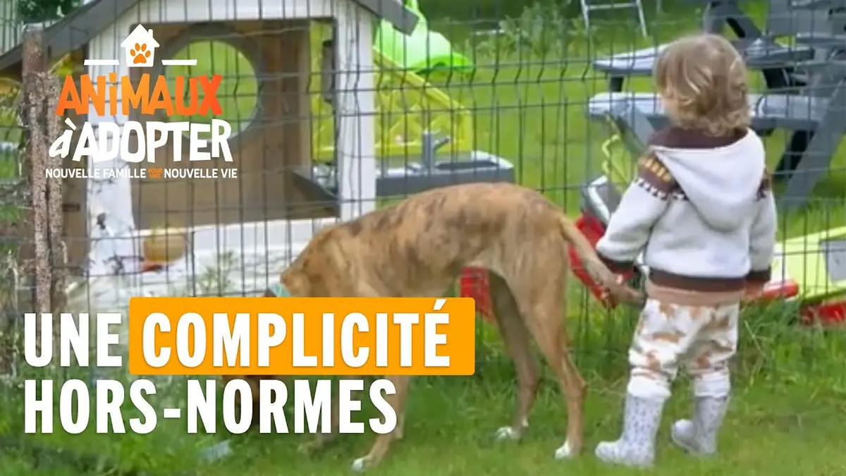 replay de Une complicité hors-normes entre un petit garçon et un chiot