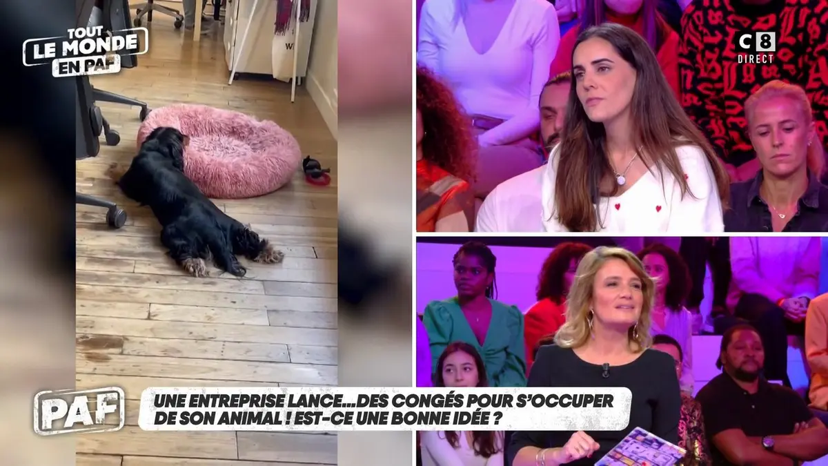 replay de Une entreprise lance des congés pour s’occuper de son animal de compagnie !