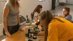 Une étude bien particulière...