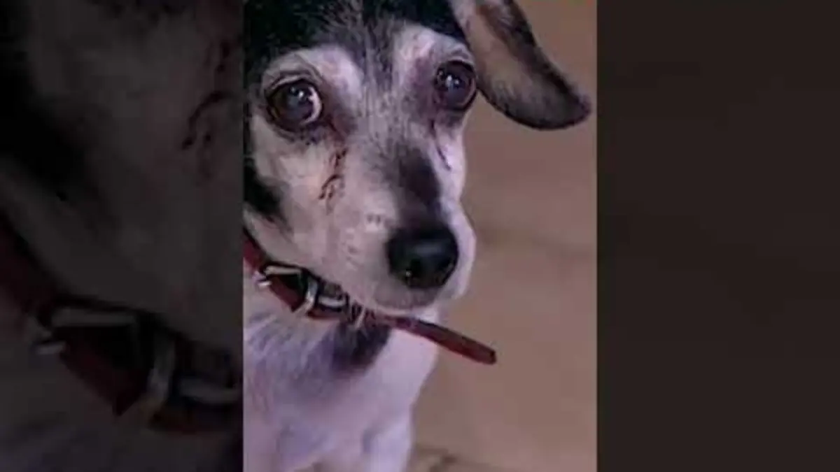 replay de Une histoire assez spéciale ?- Extrait Histoire d'eau