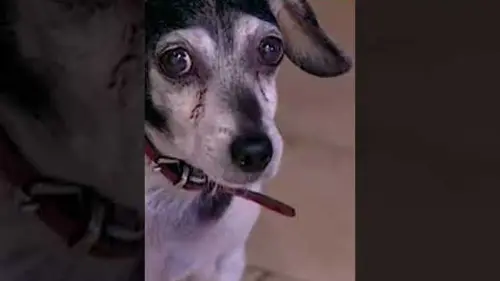 replay de Une histoire assez spéciale 🚰- Extrait Histoire d'eau