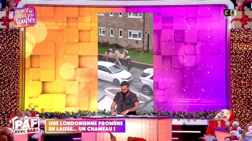 replay de Une Londonienne promène en laisse… un chameau !
