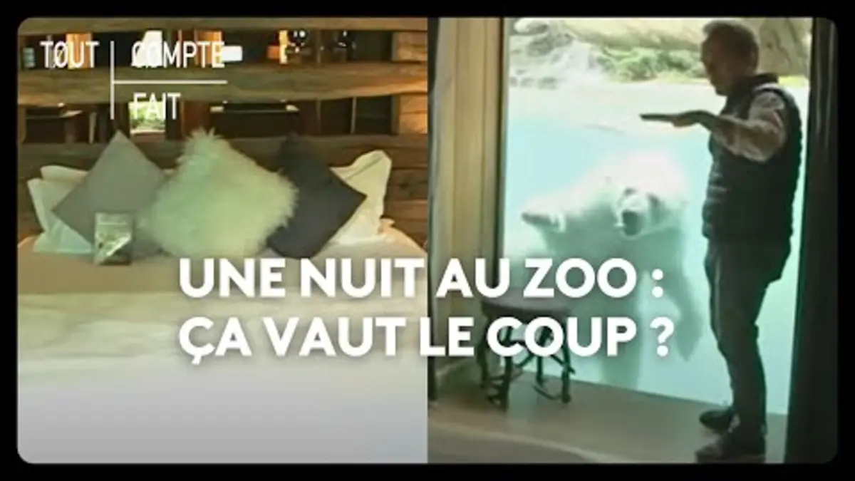 replay de Une nuit au ZOO : ça vaut le coup ?