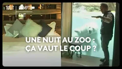 replay de Une nuit au ZOO : ça vaut le coup ?