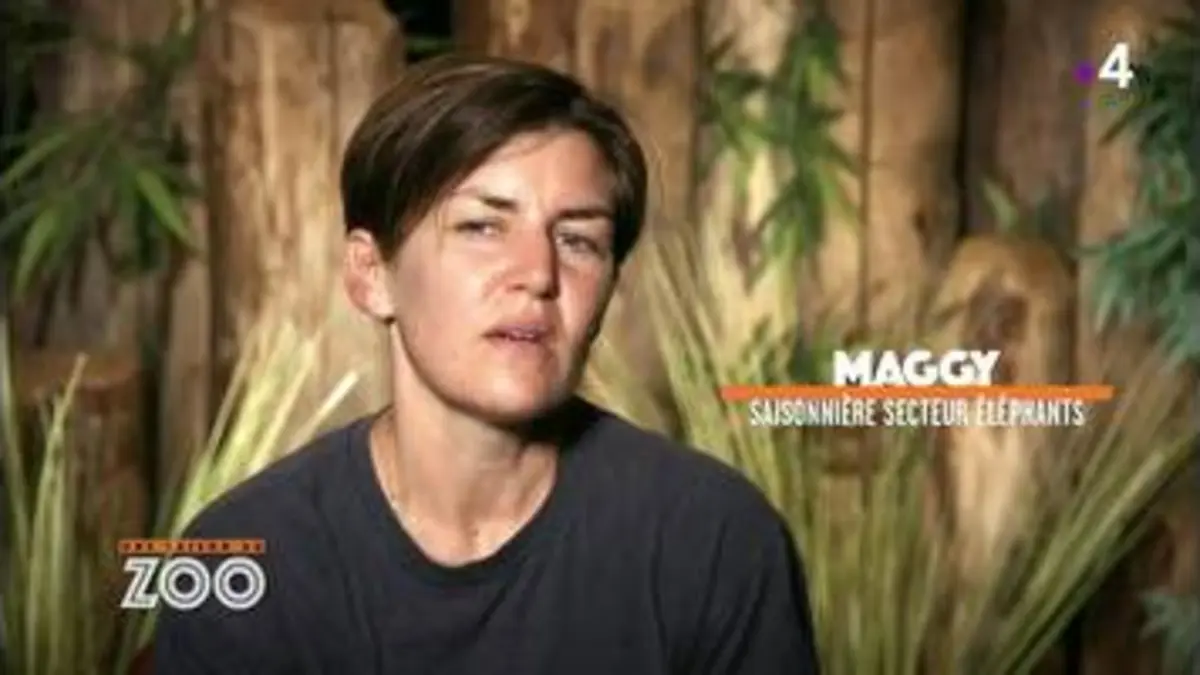 replay de Une saison au zoo