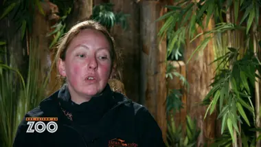Une saison au zoo : S10 E25