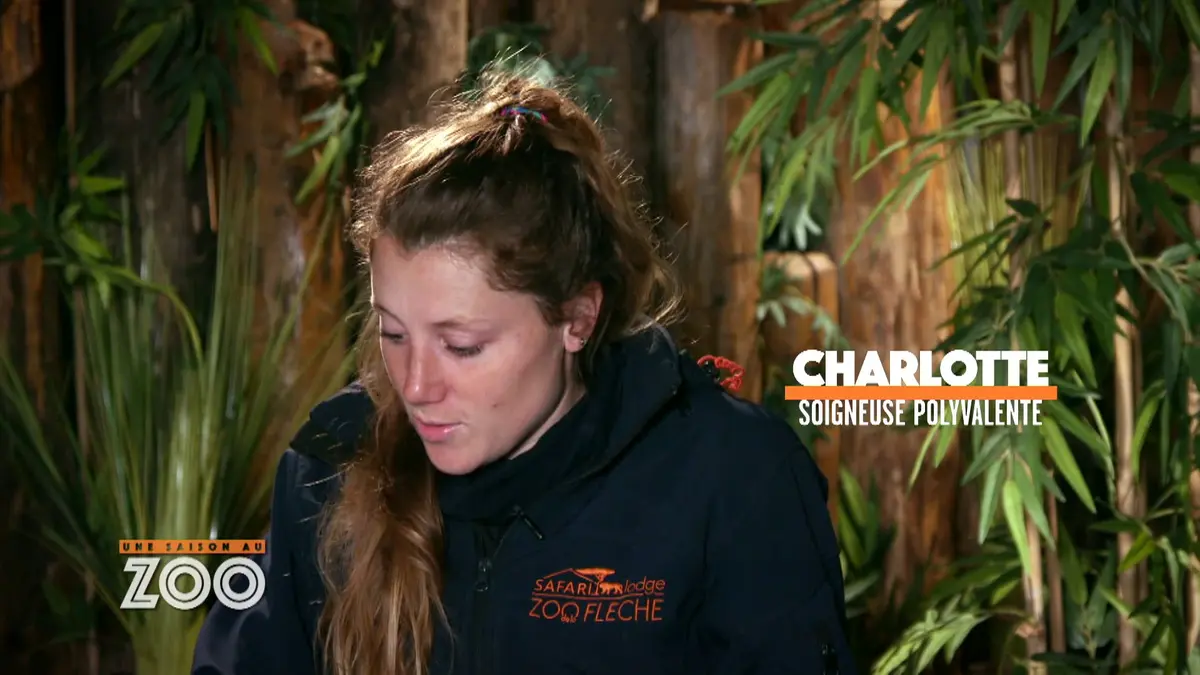 Une saison au zoo : S10 E29