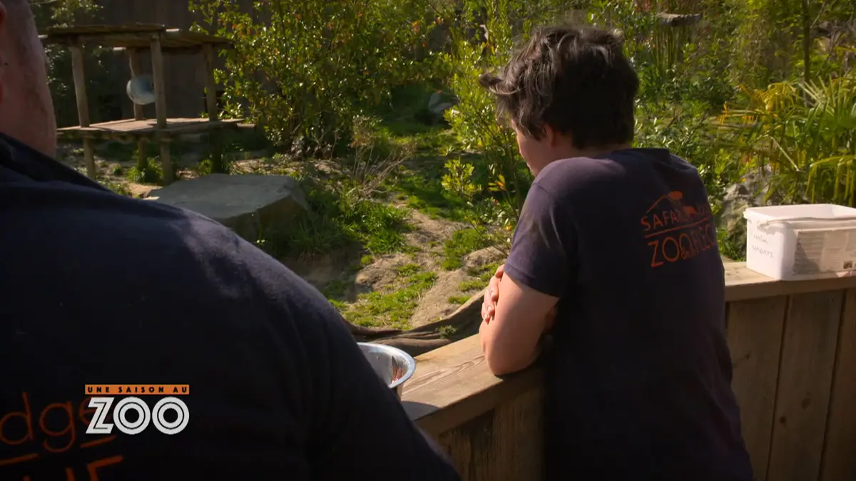 Une saison au zoo : S10 E33