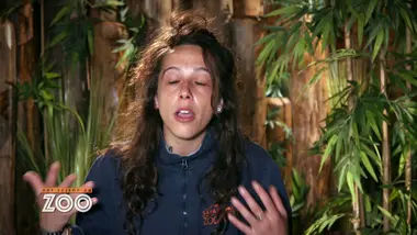 Une saison au zoo : S10 E34