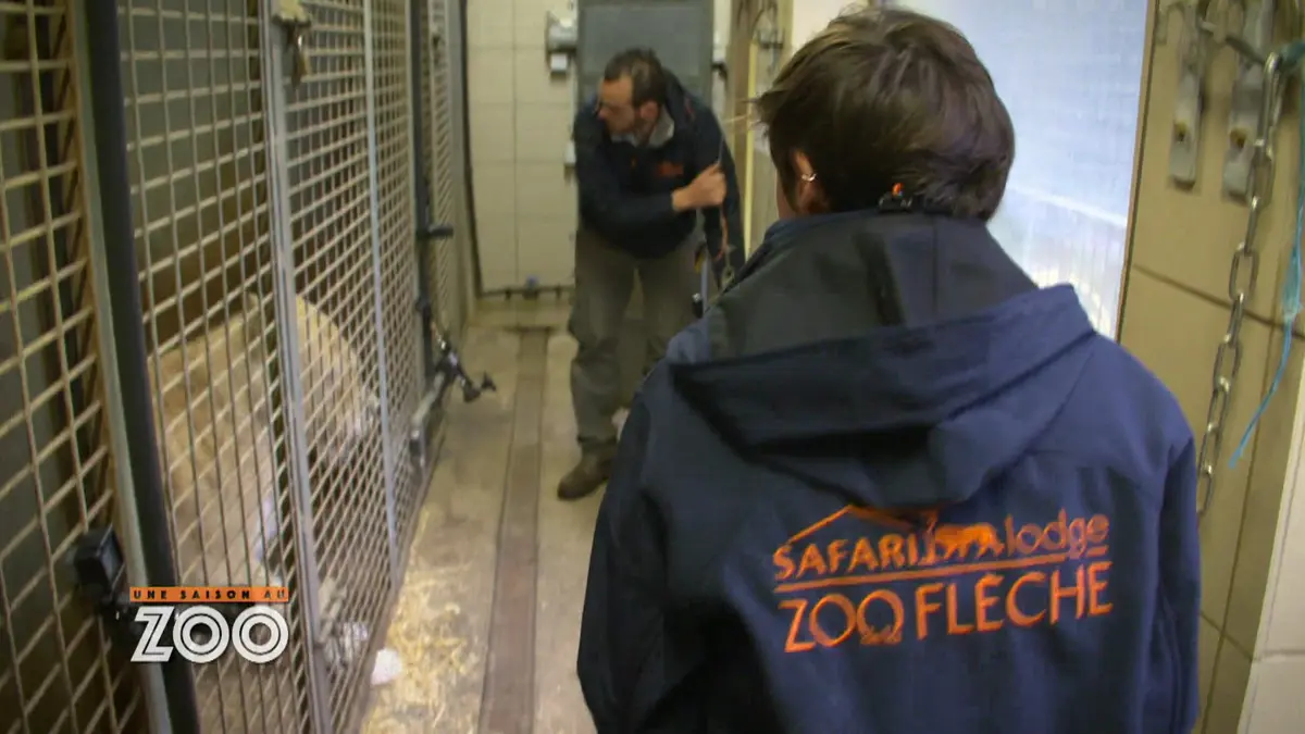 Une saison au zoo : S10 E36