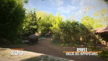 Une saison au zoo : S10 E37