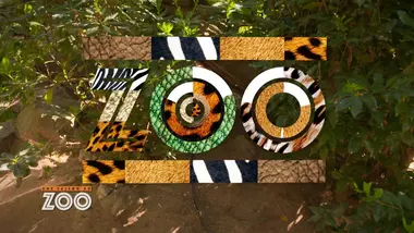 Une saison au zoo : S10 E42