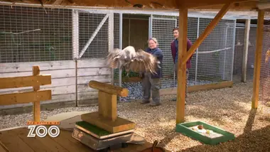 Une saison au zoo : S10 E44
