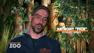 Une saison au zoo : S10 E45