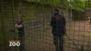 Une saison au zoo : S10 E52