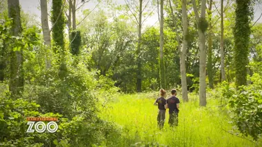 Une saison au zoo : S10 E54