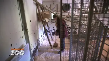 Une saison au zoo : S11 E10