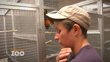 Une saison au zoo : S11 E17