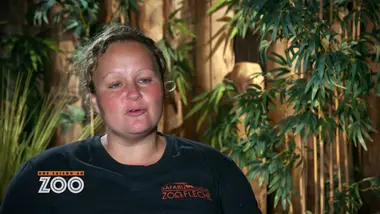 Une saison au zoo : S11 E2