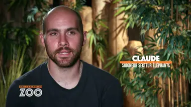 Une saison au zoo : S11 E8