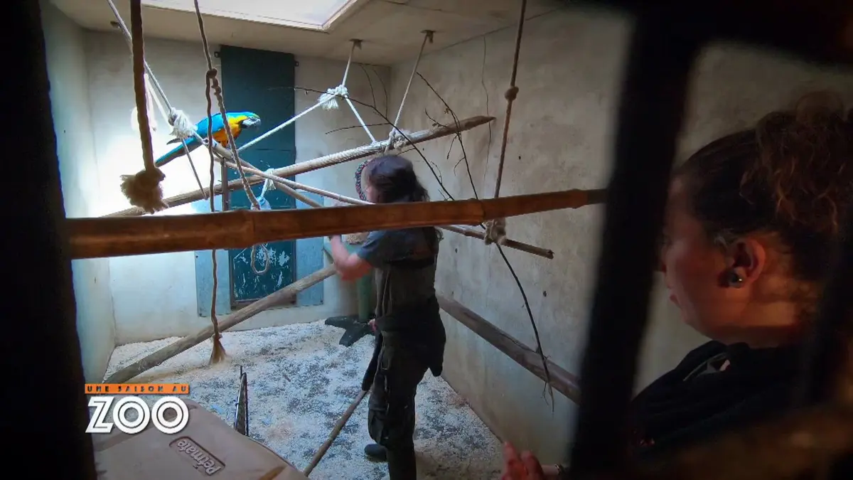 Une saison au zoo : S8 E26