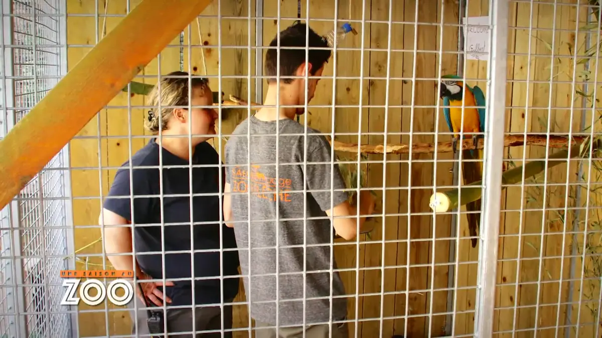 Une saison au zoo : S8 E27