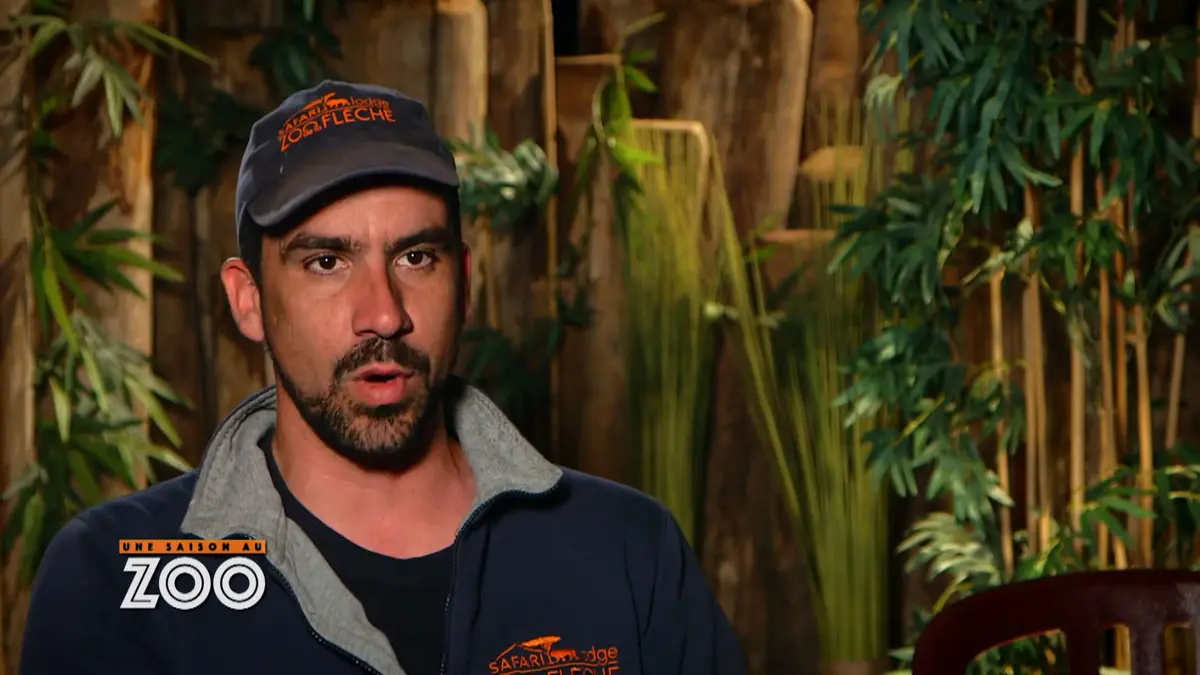 Une saison au zoo : S8 E34