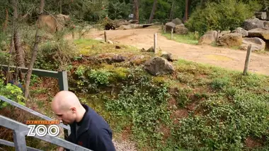 Une saison au zoo : S8 E40
