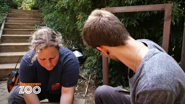 Une saison au zoo : S8 E41