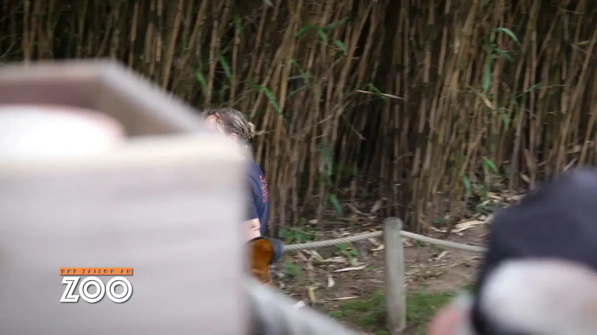Une saison au zoo : S8 E46