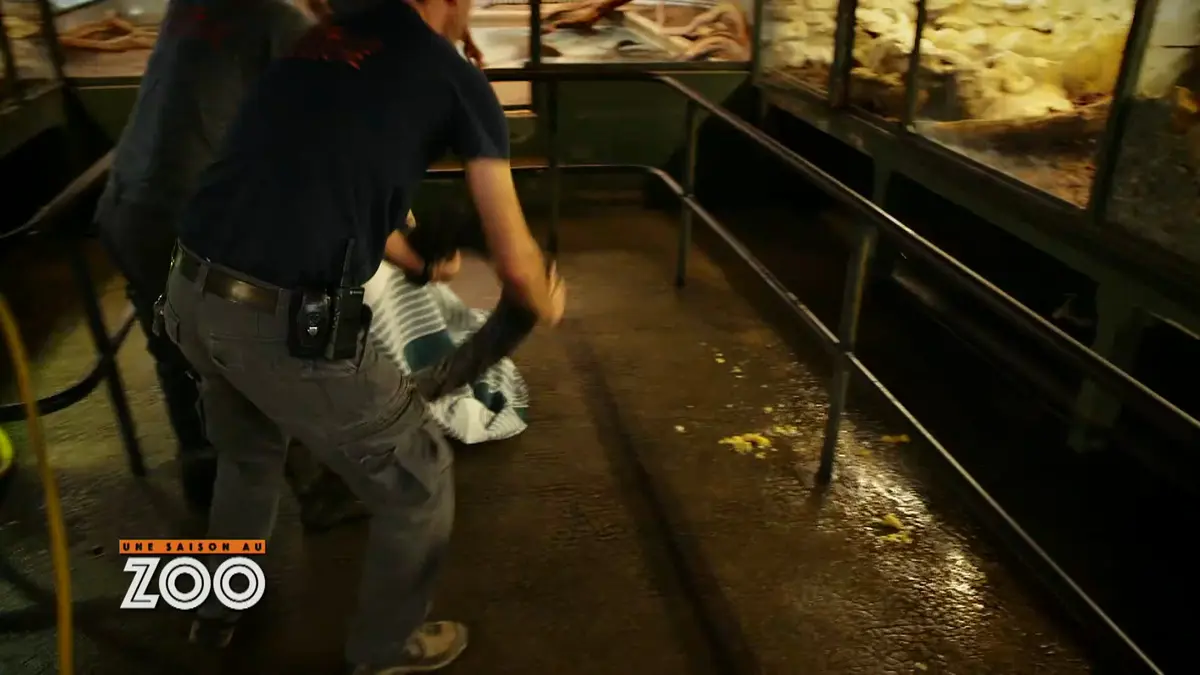 Une saison au zoo : S8 E47