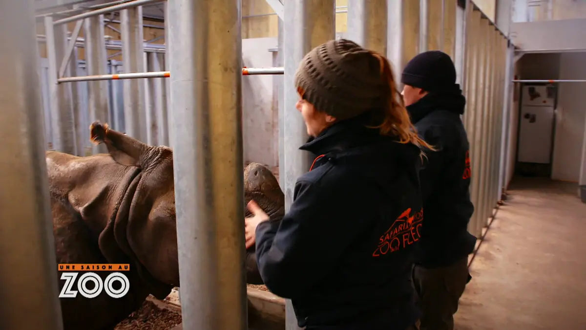 Une saison au zoo : S8 E6