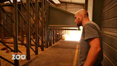 Une saison au zoo : S9 E11