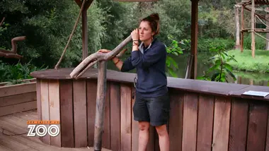 Une saison au zoo : S9 E12