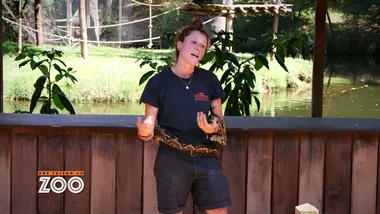 Une saison au zoo : S9 E13